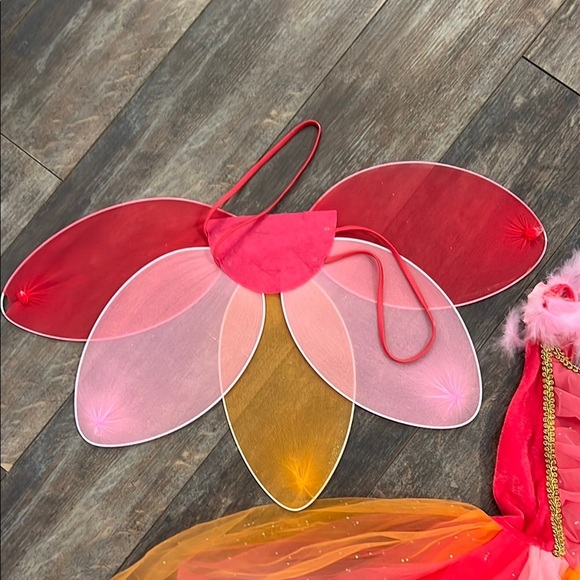 Pink and Orange Costume w/Wings - Picture 7 of 9
